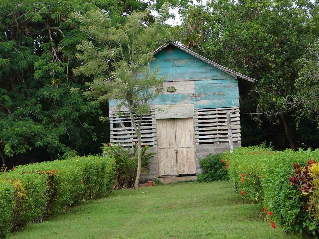 Foto de Upala, Costa Rica