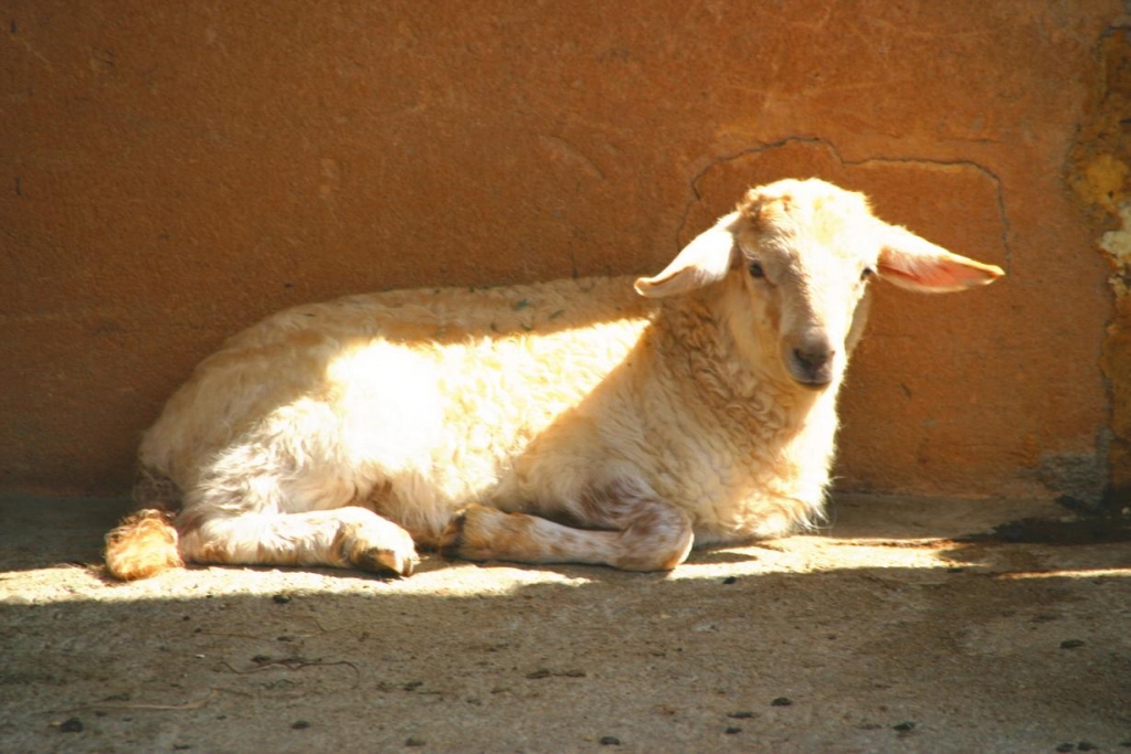 Foto de Cabárceno (Cantabria), España