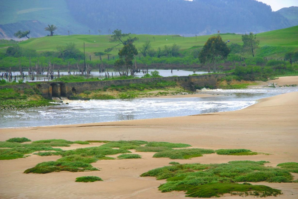 Foto de Trasvía (Cantabria), España