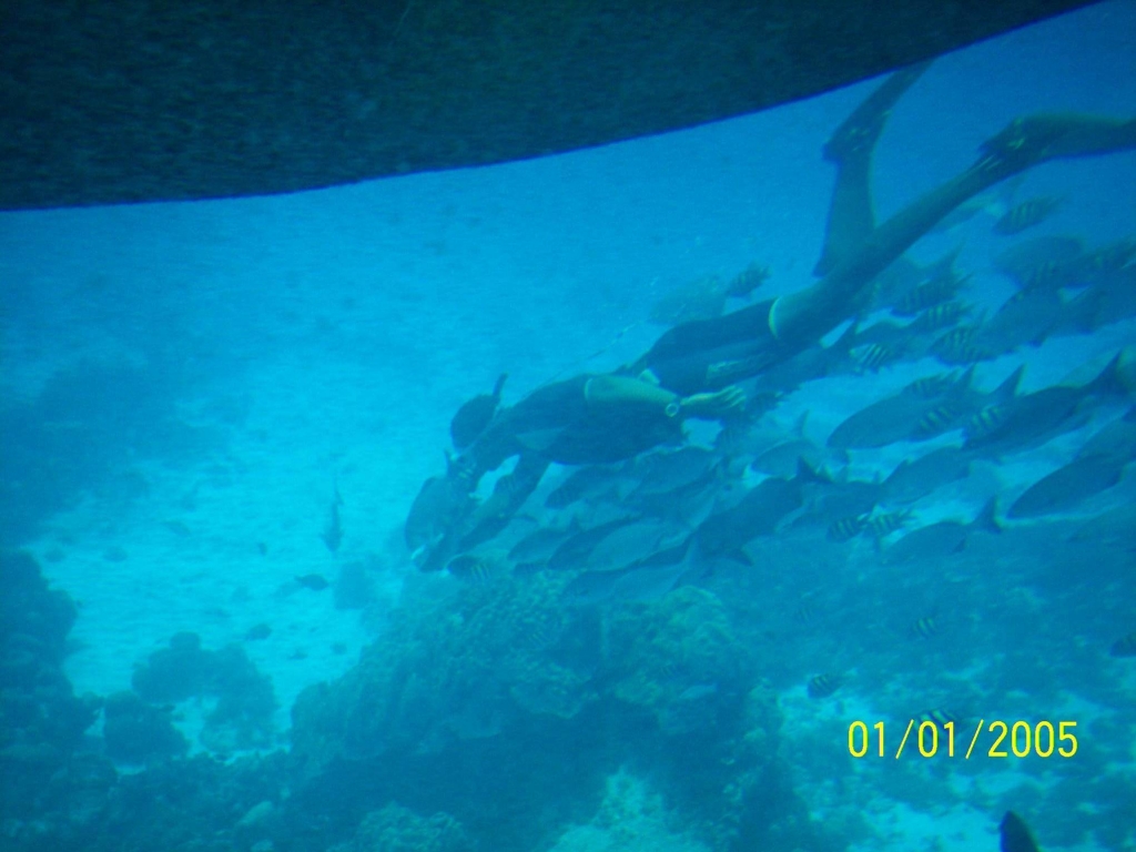 Foto de Isla San Andres, Colombia