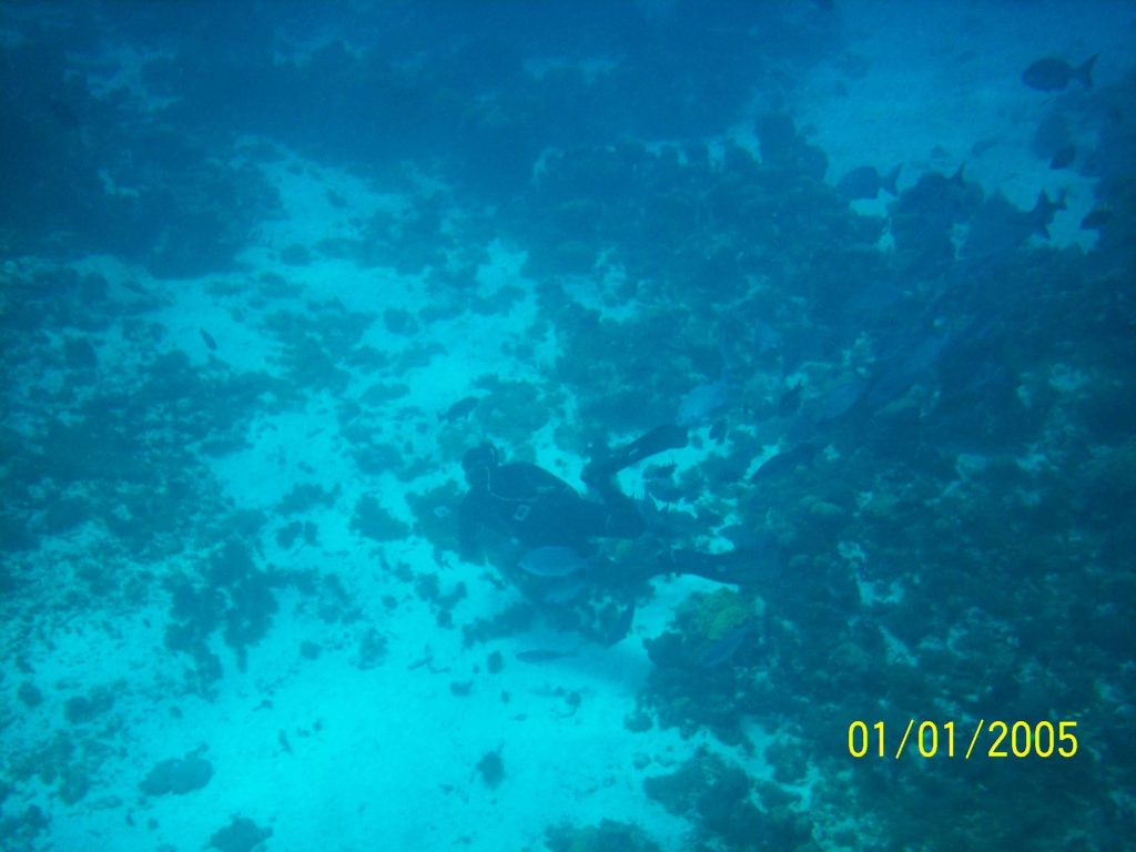 Foto de Isla San Andres, Colombia