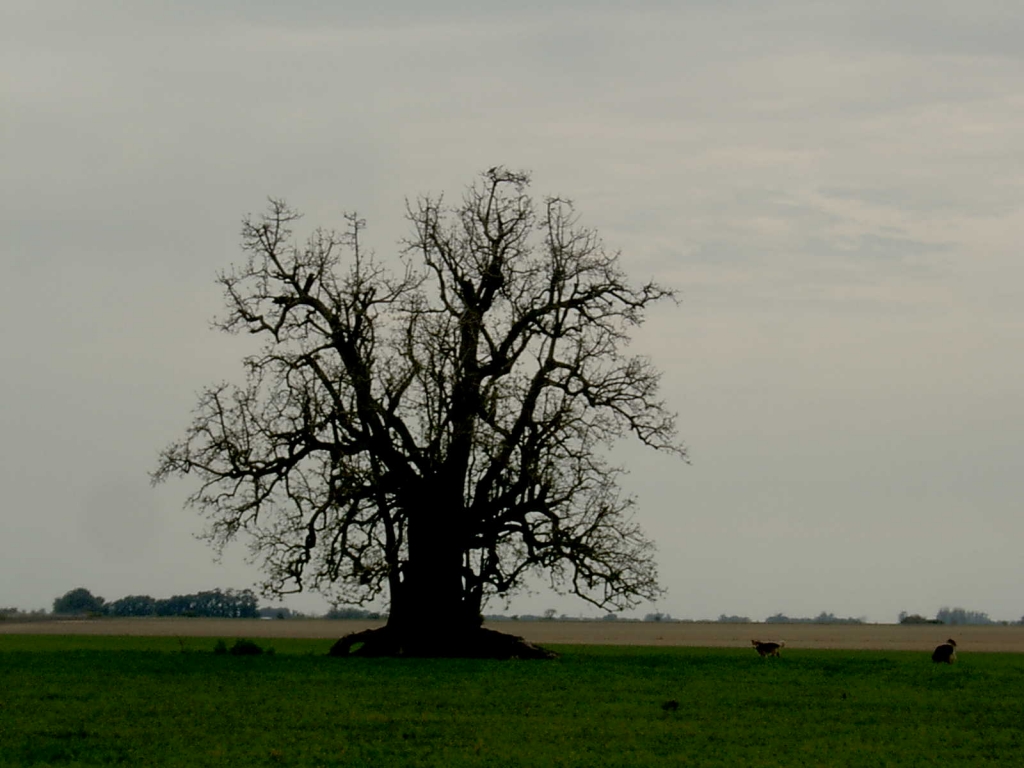 Foto de Entre Rios, Argentina