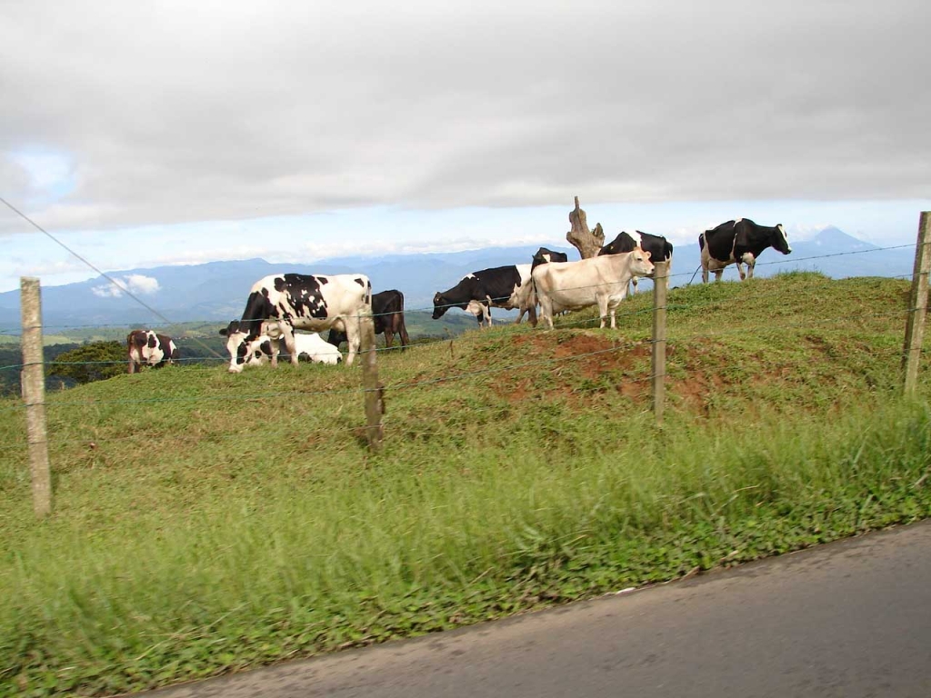 Foto de San Carlos (Alajuela), Costa Rica