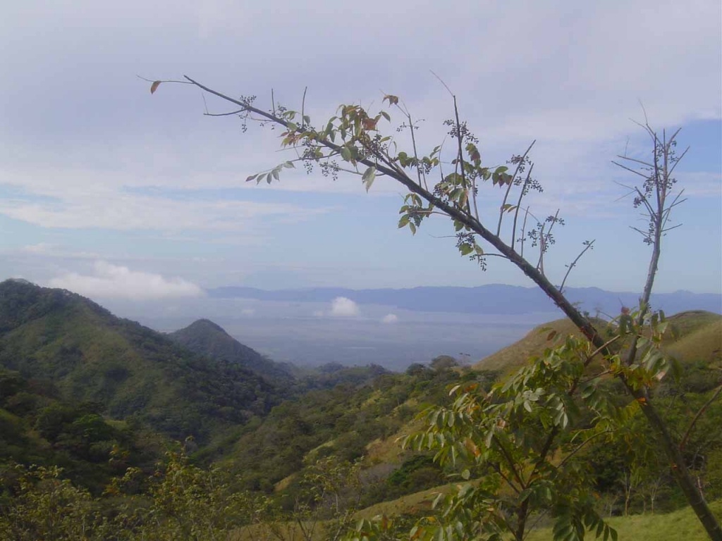 Foto de Miramar (Puntearenas), Costa Rica