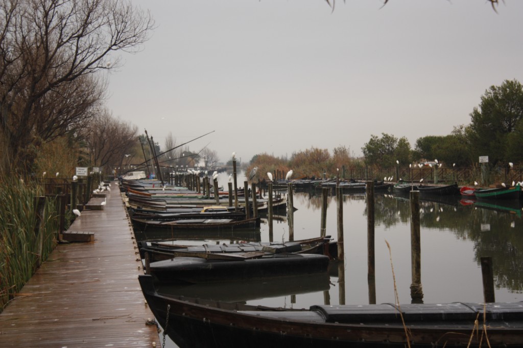 Foto: Barcas - Catarroja (València), España