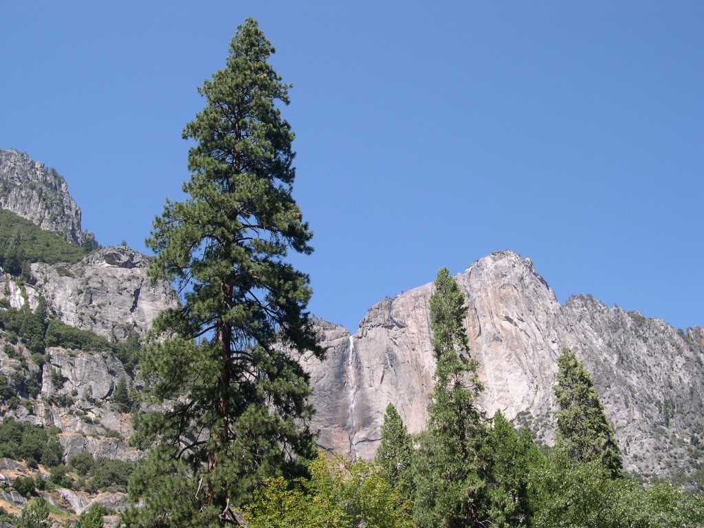 Foto de Parque Nacional de Yosemite (California), Estados Unidos