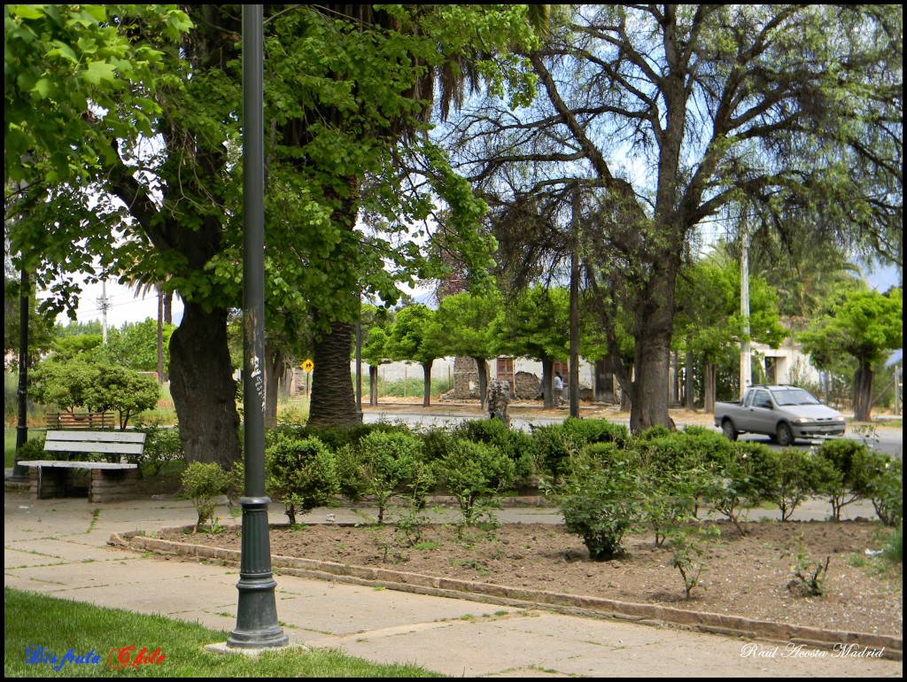 Foto de Coltauco (Libertador General Bernardo OʼHiggins), Chile