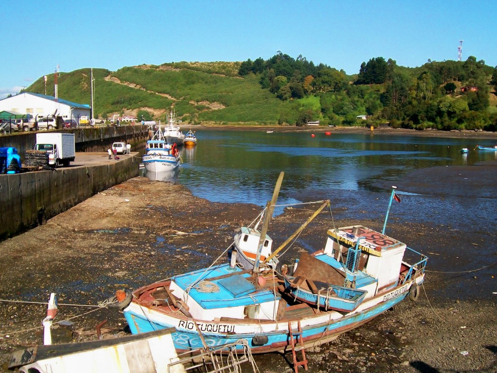 Foto: marea baja en chinquihue - Chinquihue (Los Lagos), Chile