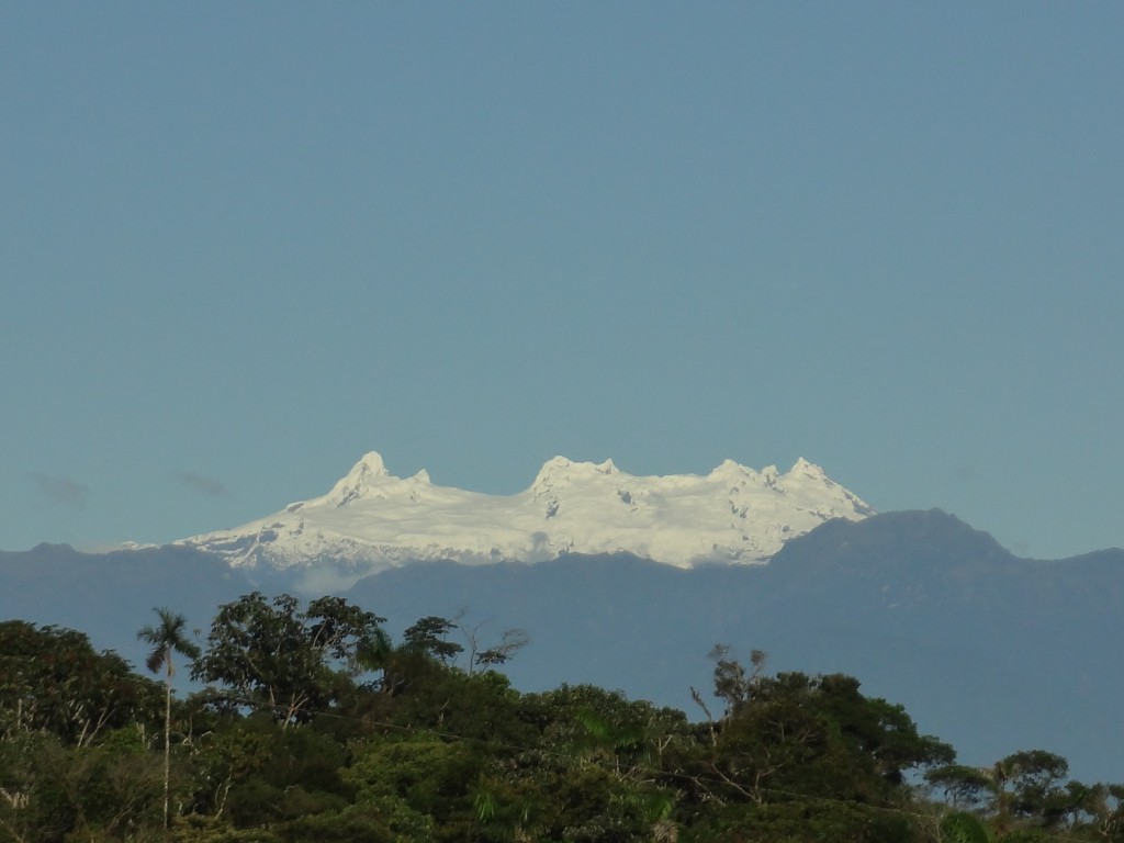 Foto: Los altares - Simón Biolívar (Mushullacta) (Pastaza), Ecuador