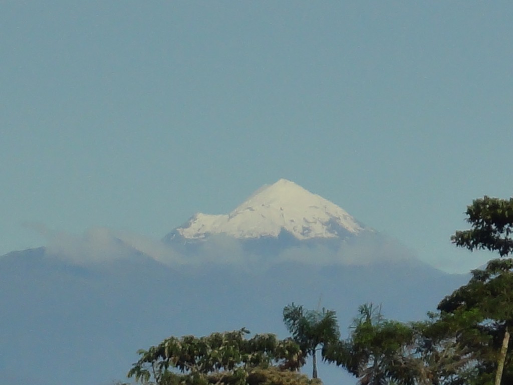 Foto: Un pico helado. - Simón Biolívar (Mushullacta) (Pastaza), Ecuador