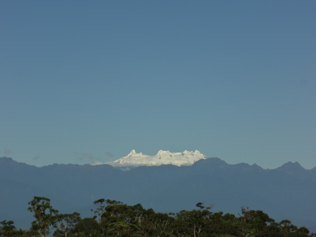 Foto: Los Altares - Simón Biolívar (Mushullacta) (Pastaza), Ecuador