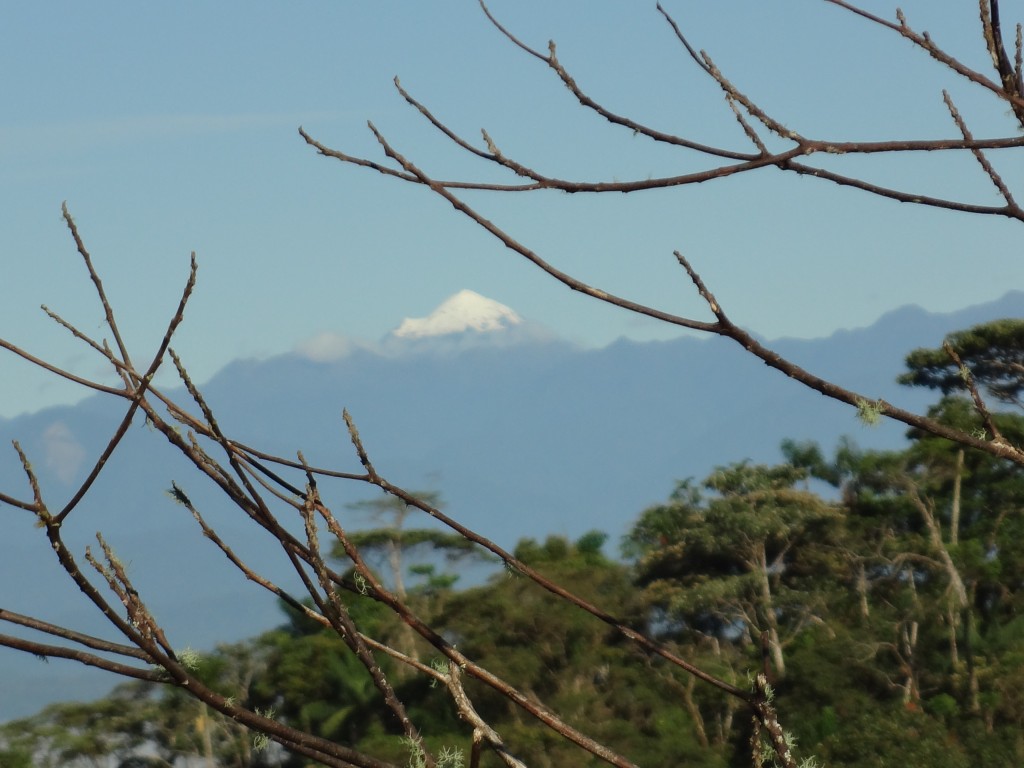 Foto: Elevaciones - Simón Biolívar (Mushullacta) (Pastaza), Ecuador