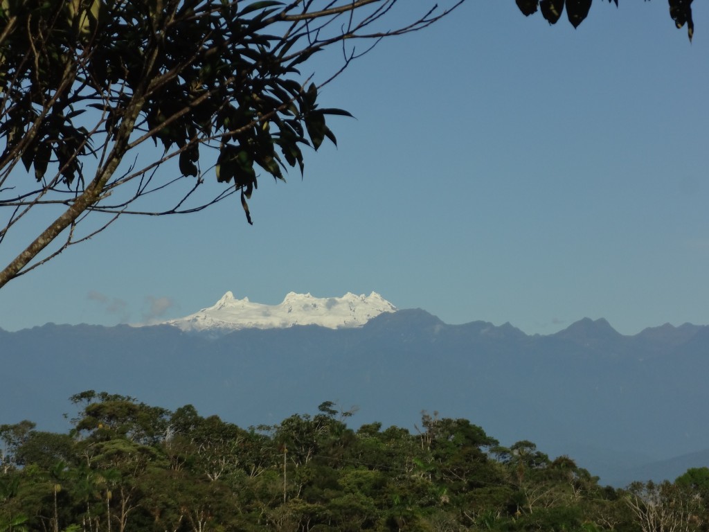 Foto: Los Altares - Simón Biolívar (Mushullacta) (Pastaza), Ecuador