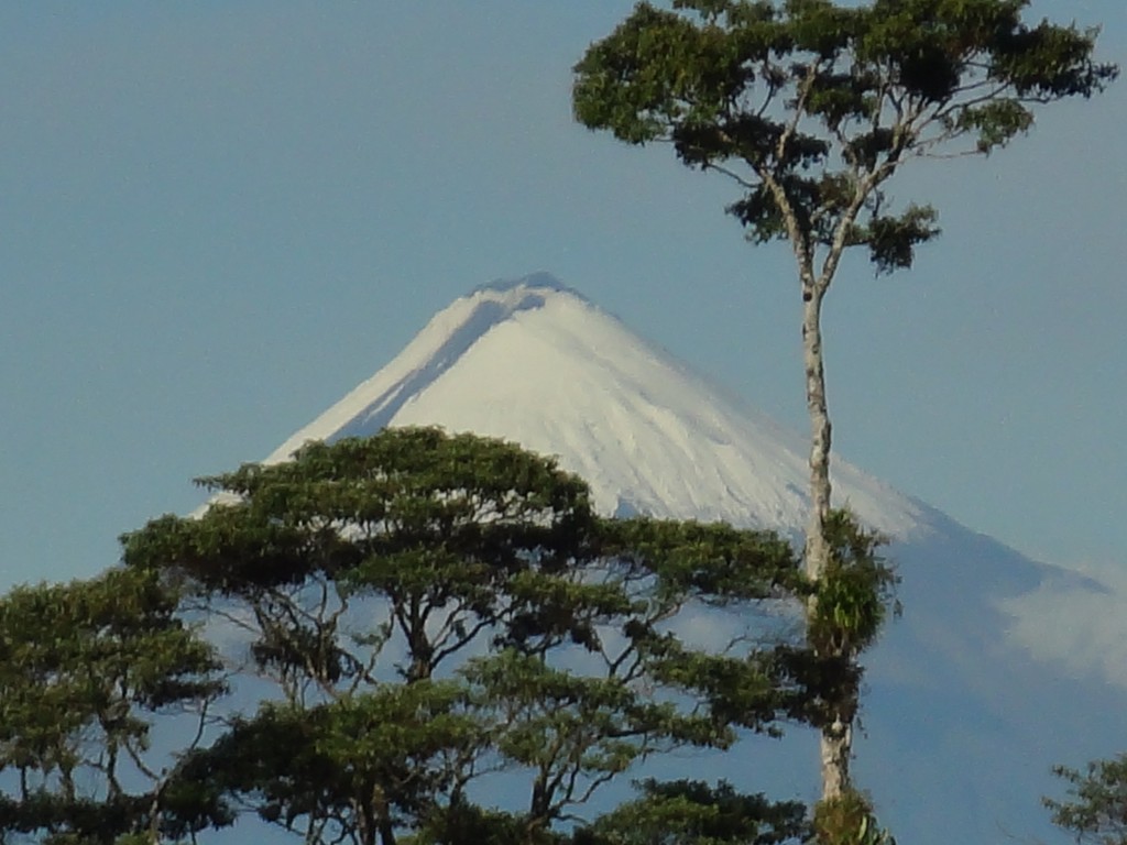 Foto: El Sangay - Simón Biolívar (Mushullacta) (Pastaza), Ecuador