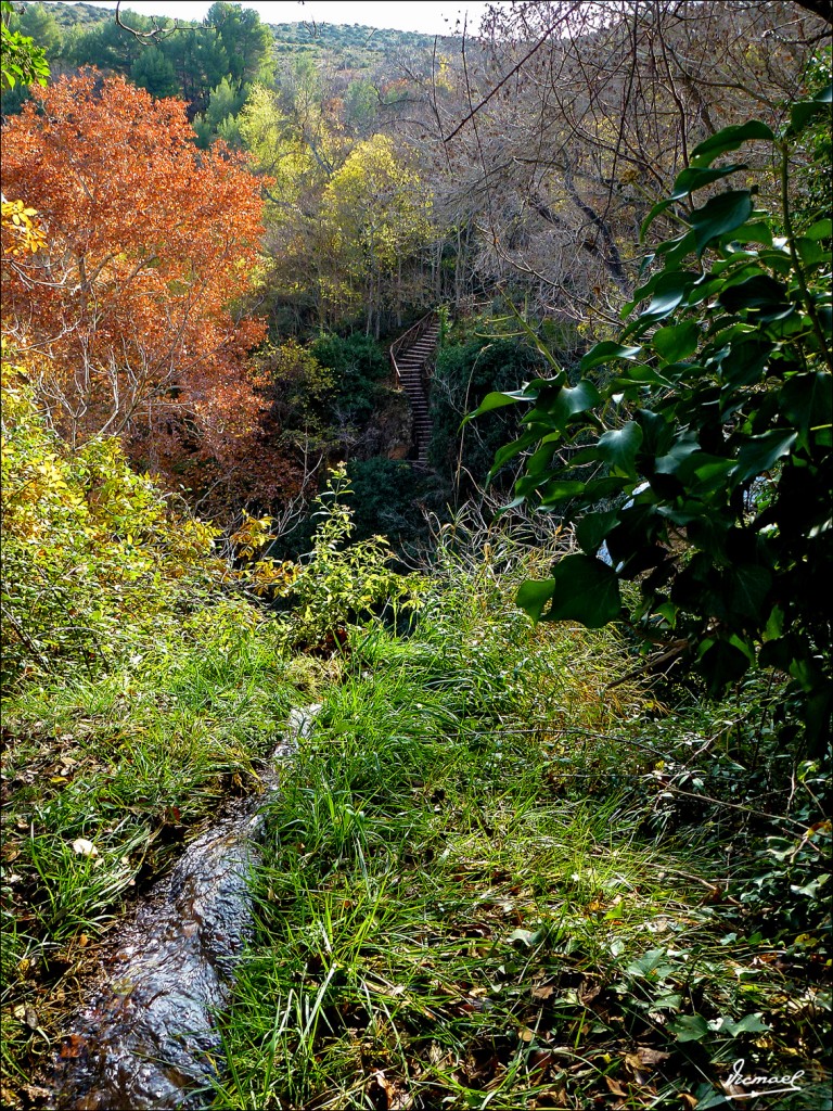 Foto: 111117-057 MONASTERIO PIEDRA - Nuevalos (Zaragoza), España