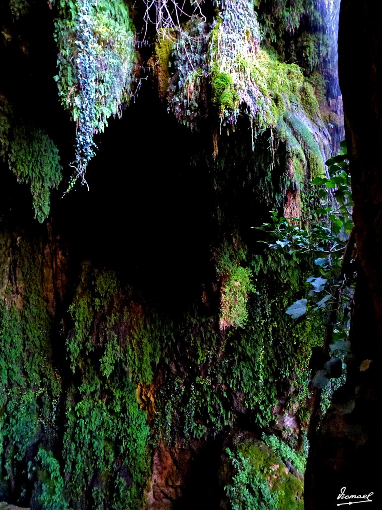 Foto: 111117-083 MONASTERIO PIEDRA - Nuevalos (Zaragoza), España