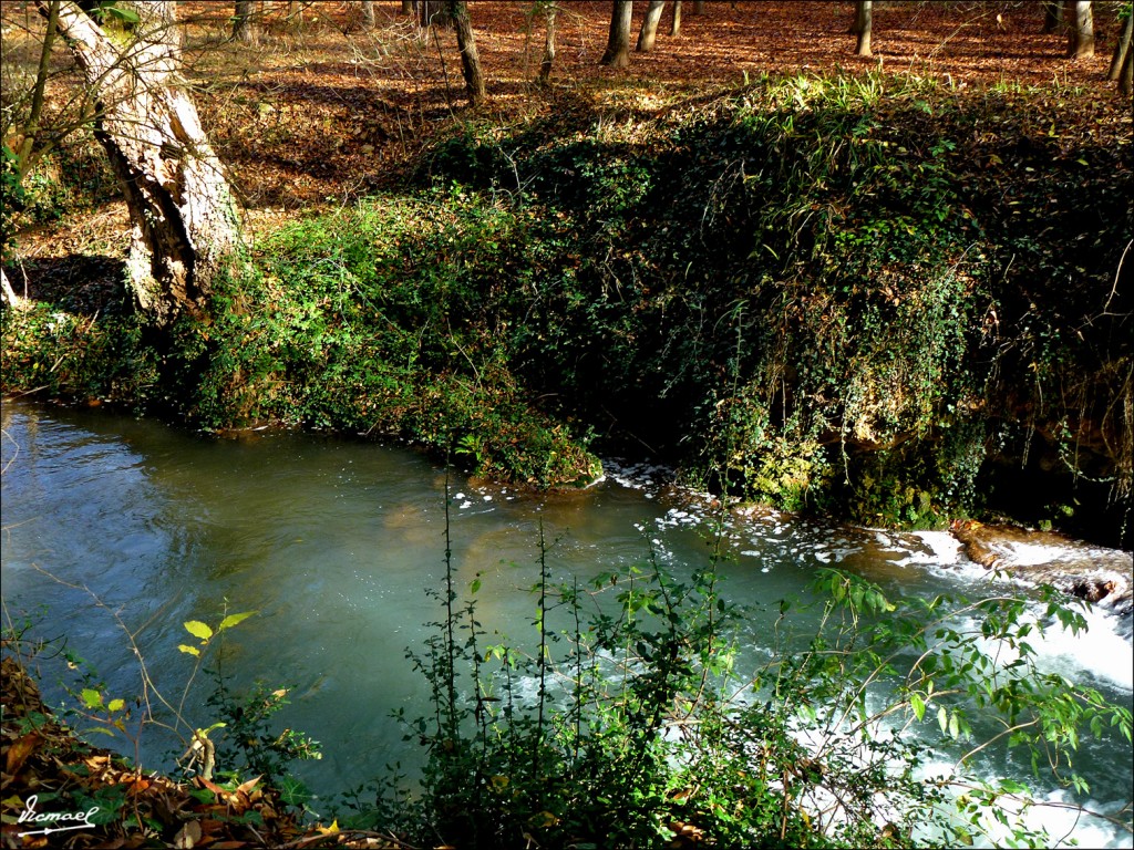 Foto: 111117-105 MONASTERIO PIEDRA - Nuevalos (Zaragoza), España