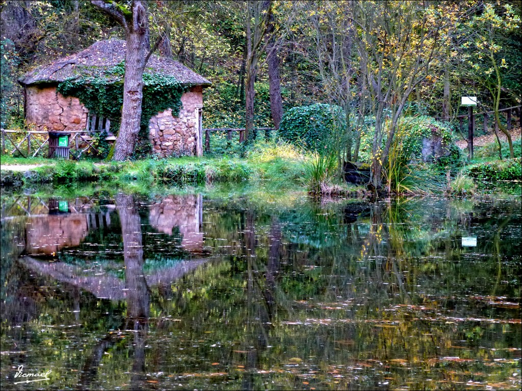 Foto: 111117-143 MONASTERIO PIEDRA - Nuevalos (Zaragoza), España