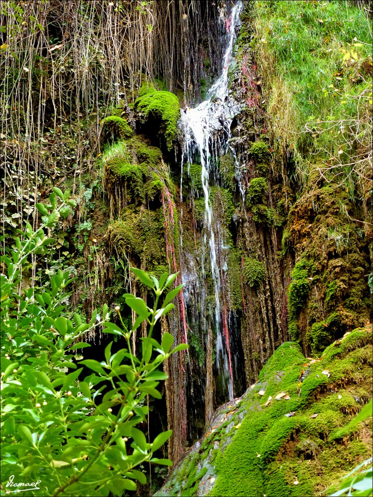 Foto: 111117-181 MONASTERIO PIEDRA - Nuevalos (Zaragoza), España