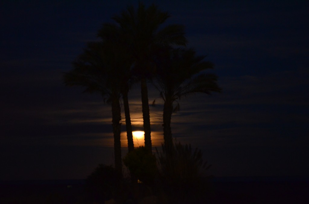 Foto: Playa de Vera - Vera (Almería), España