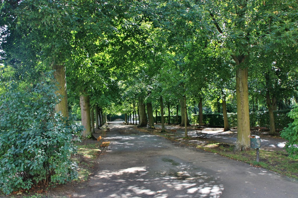 Foto: Jardín de La Residencia - Würzburg (Bavaria), Alemania