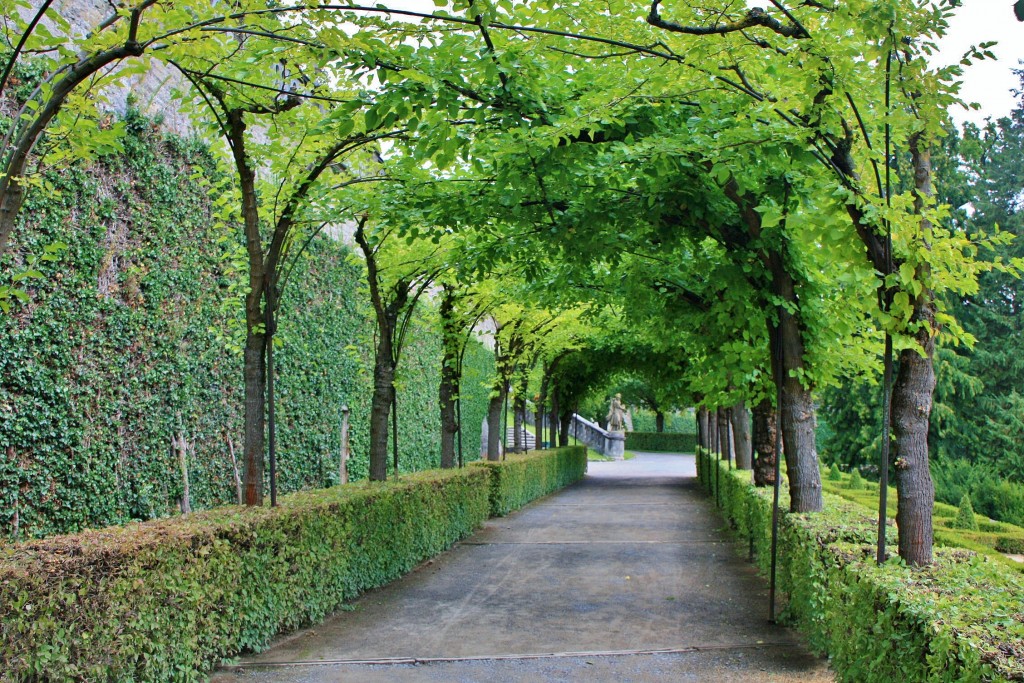 Foto: Jardín de La Residencia - Würzburg (Bavaria), Alemania