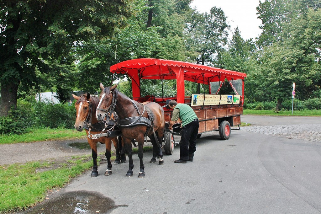 Foto: Bus turístico - Potsdam (Brandenburg), Alemania