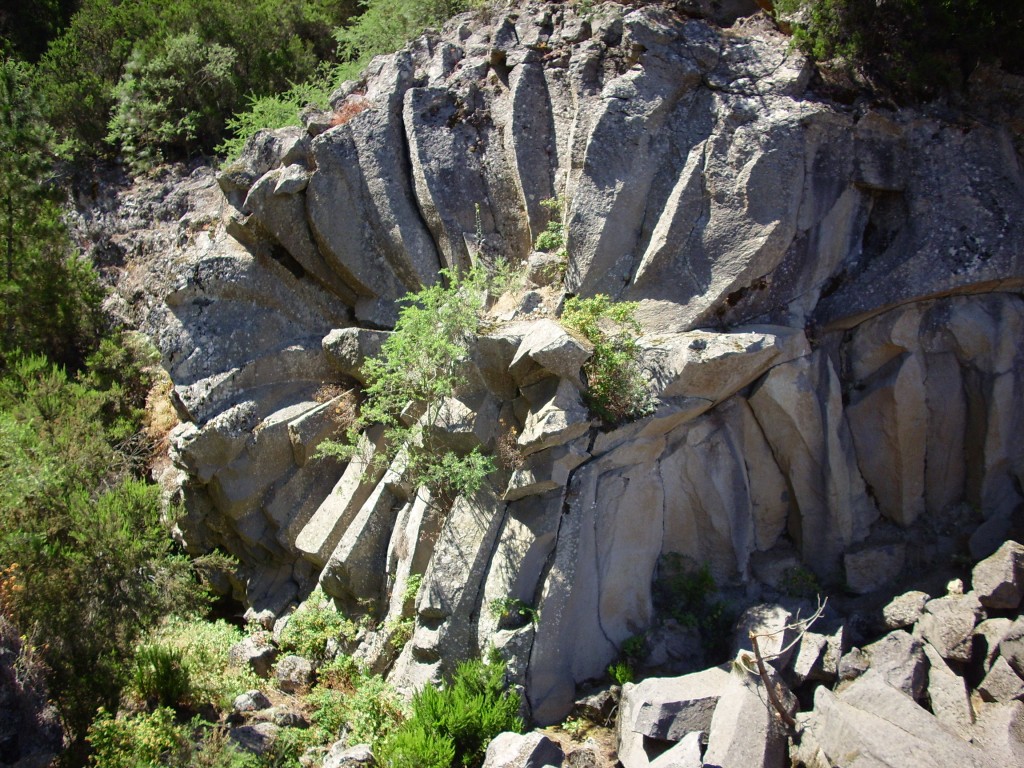 Foto de Parque Nacional del Teide (Santa Cruz de Tenerife), España