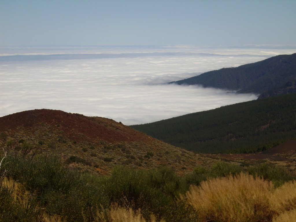 Foto de Parque Nacional del Teide (Santa Cruz de Tenerife), España