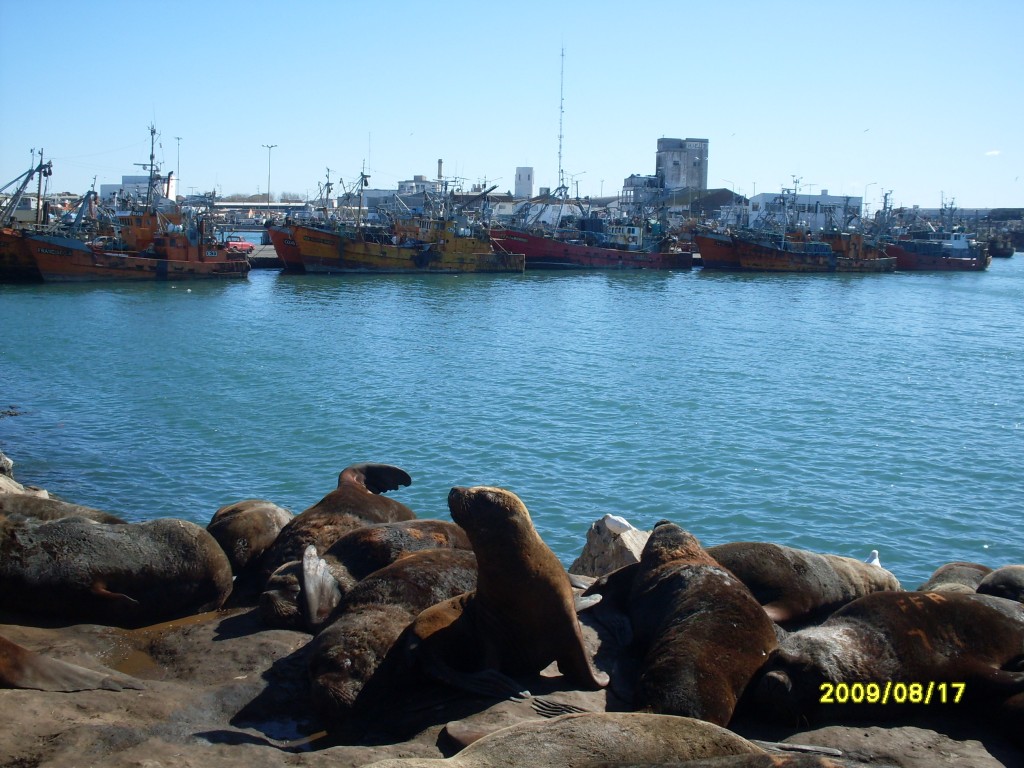 Foto: puerto - Mar Del Plata, Argentina