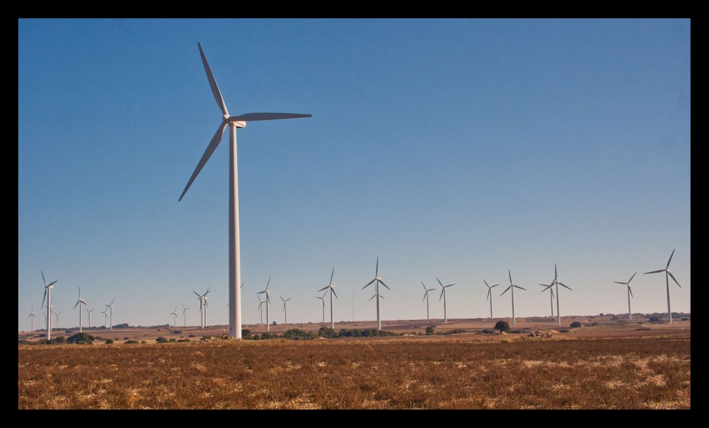 Foto: Las Planas - Zaragoza (Aragón), España