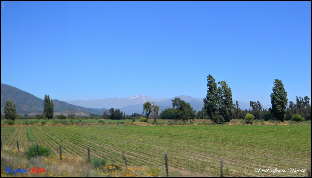 Foto de Machalí (Libertador General Bernardo OʼHiggins), Chile