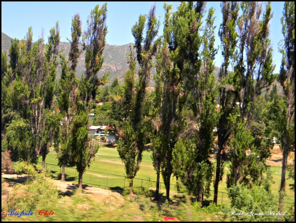 Foto de Machalí (Libertador General Bernardo OʼHiggins), Chile