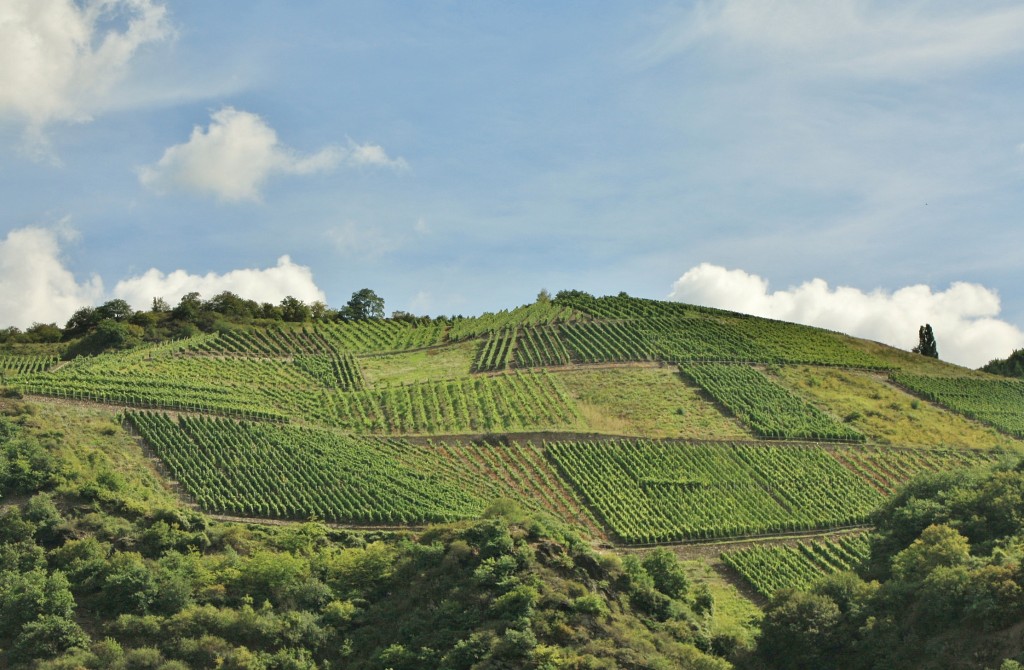 Foto: Vistas desde el  Rhine - Kestert (Rhineland-Palatinate), Alemania