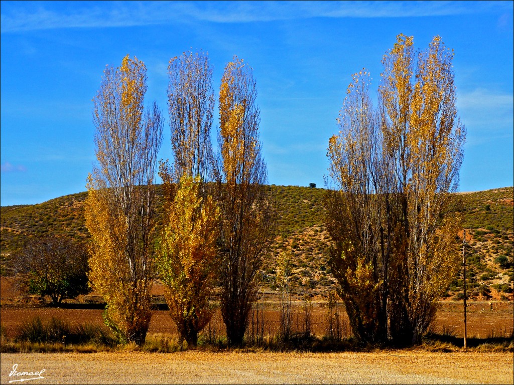 Foto: 111108-03 ALCONCHEL DE ARIZA - Alconchel De Ariza (Zaragoza), España