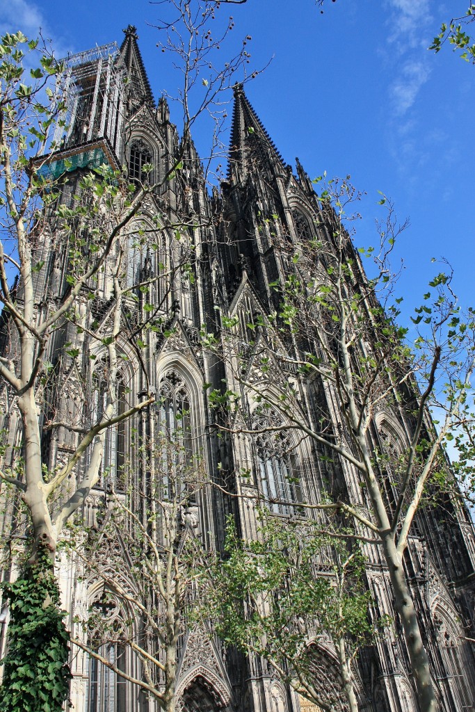 Foto: Catedral - Köln (Colonia) (North Rhine-Westphalia), Alemania