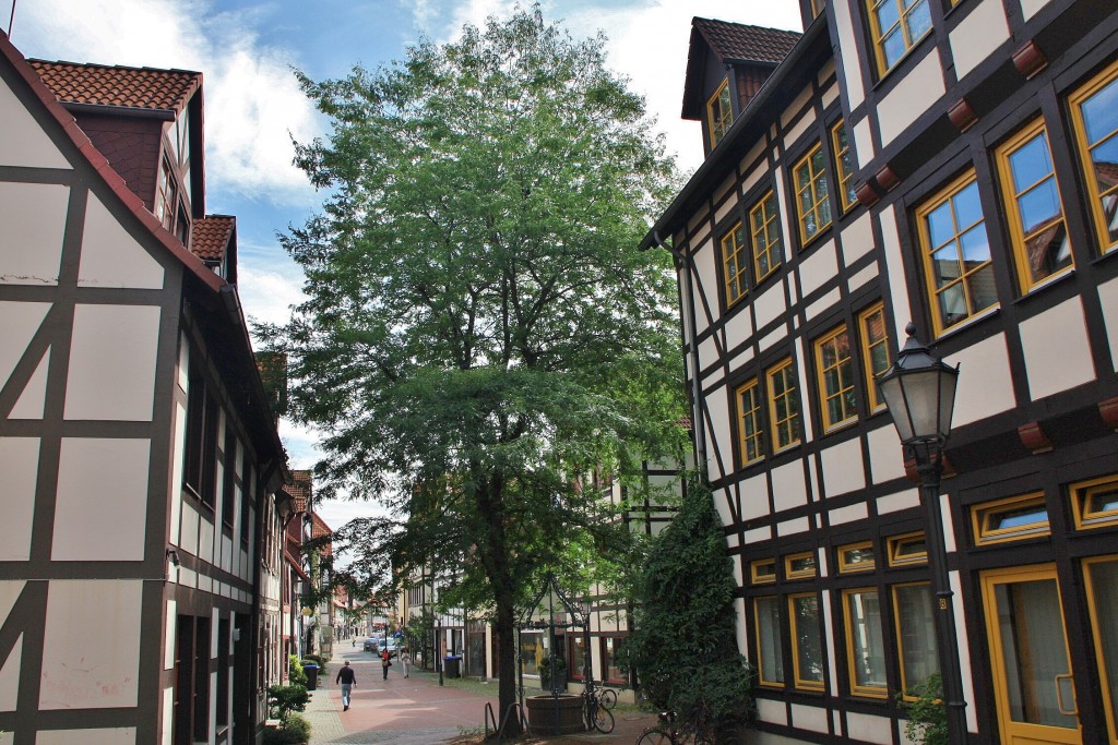 Foto: Centro histórico - Hamelín (Lower Saxony), Alemania