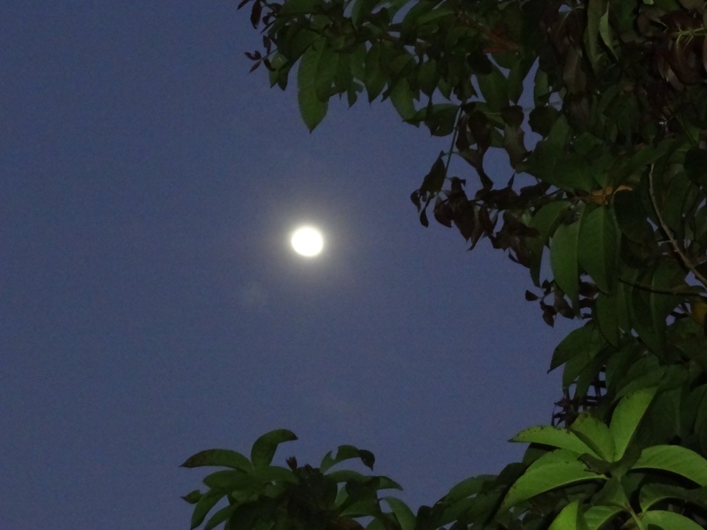 Foto: Luna - Shell (Pastaza), Ecuador