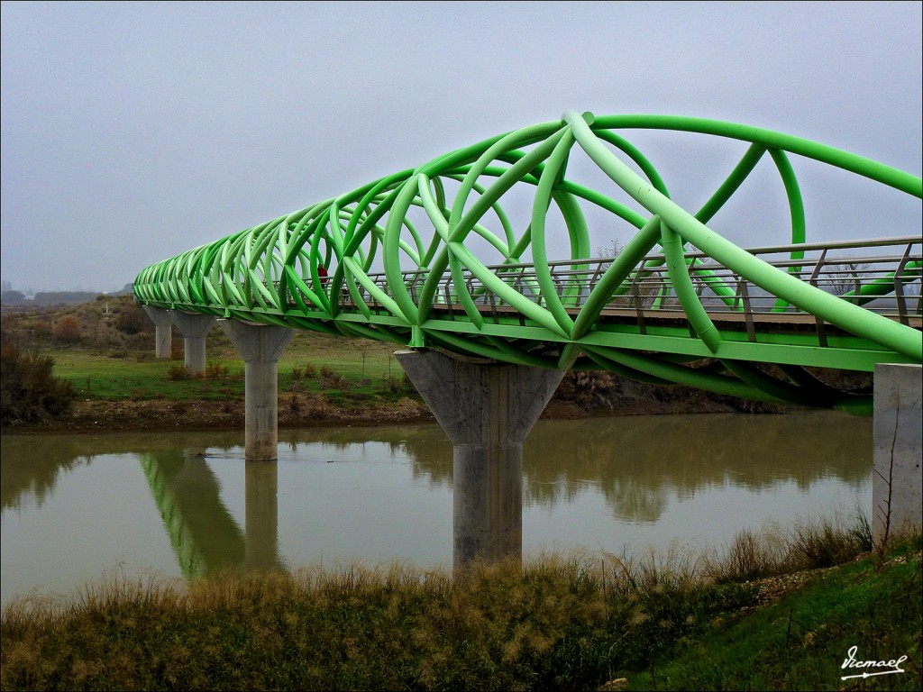 Foto: 111127-02 PUENTE LA CARTUJA - Zaragoza (Aragón), España