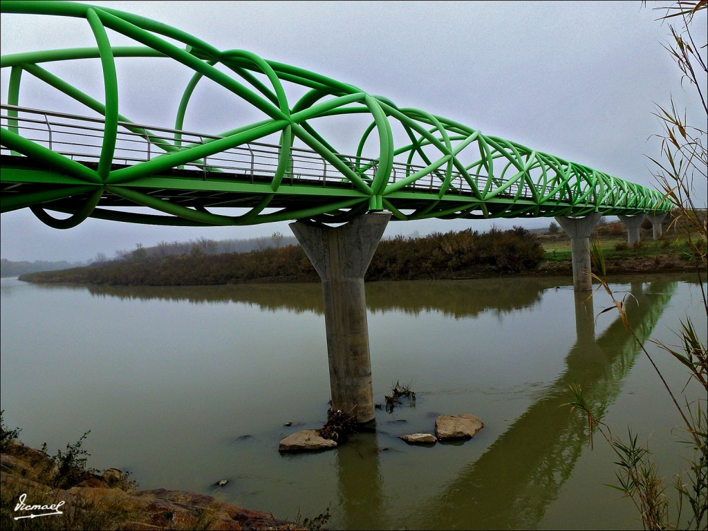 Foto: 111127-17 PUENTE LA CARTUJA - Zaragoza (Aragón), España