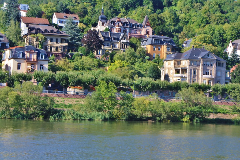 Foto: Ribera del Neckar - Heidelberg (Baden-Württemberg), Alemania