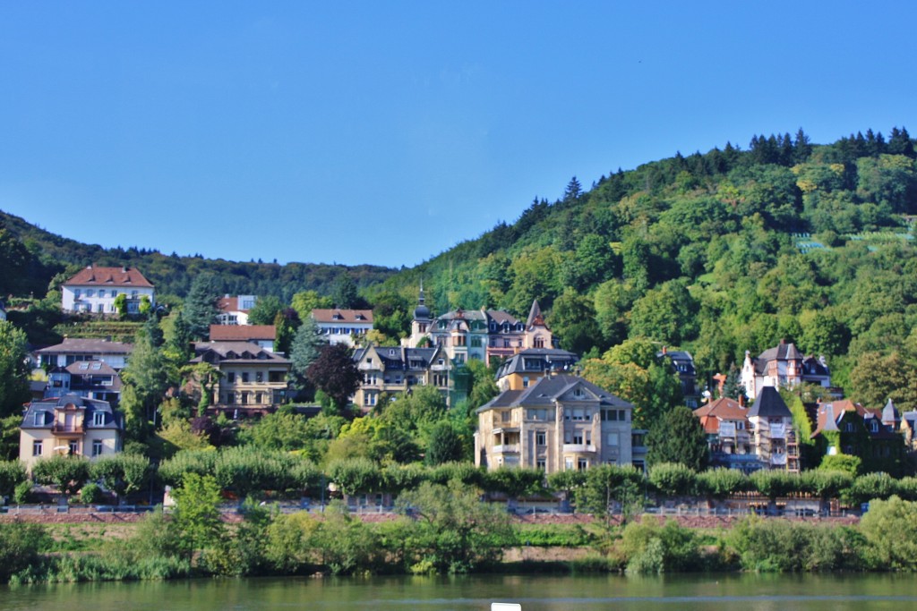 Foto: Ribera del Neckar - Heidelberg (Baden-Württemberg), Alemania