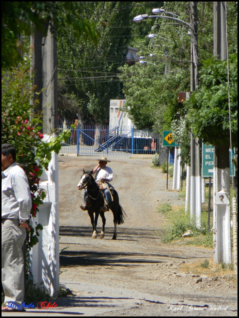 Foto de Coya (Libertador General Bernardo OʼHiggins), Chile