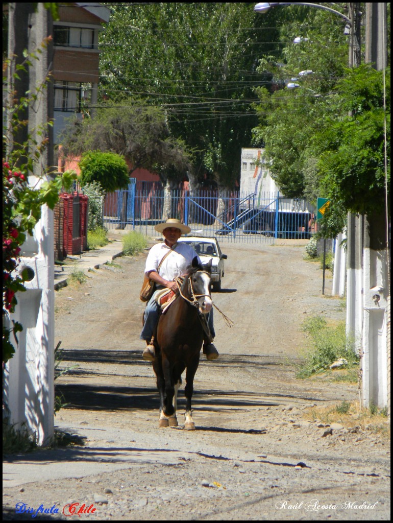 Foto de Coya (Libertador General Bernardo OʼHiggins), Chile