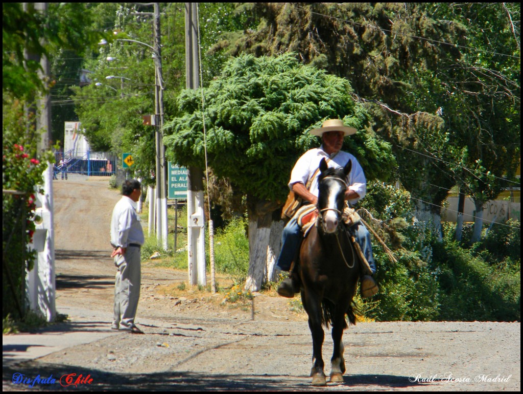 Foto de Coya (Libertador General Bernardo OʼHiggins), Chile