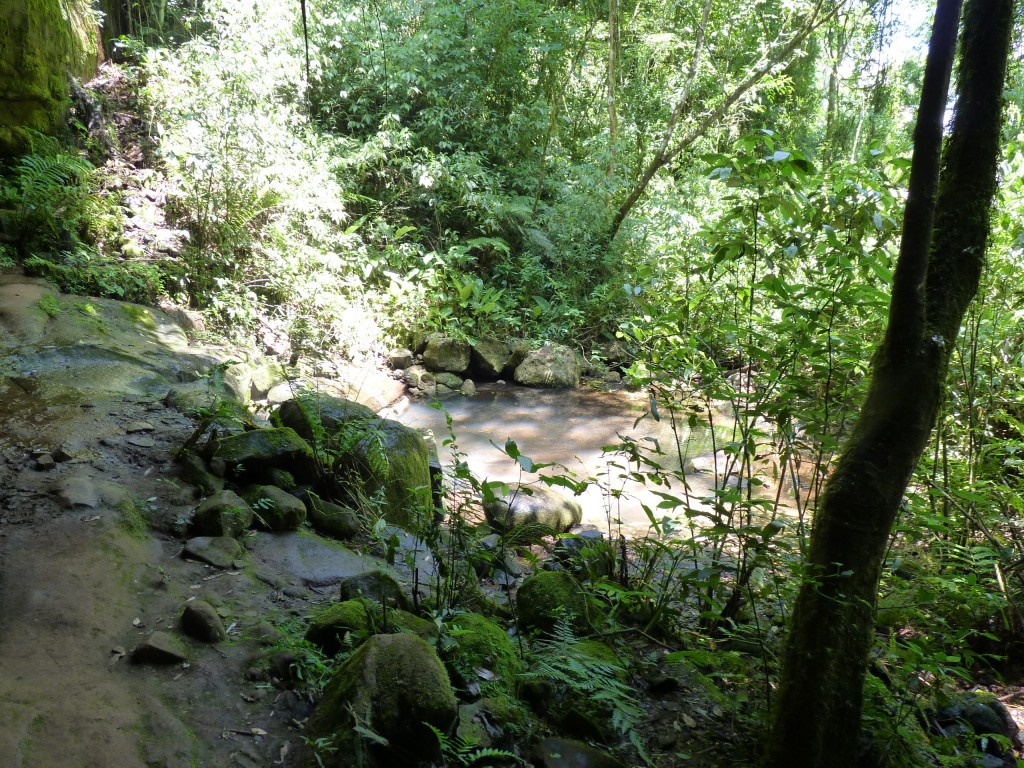 Foto: Parque Moconá - El Soberbio (Misiones), Argentina