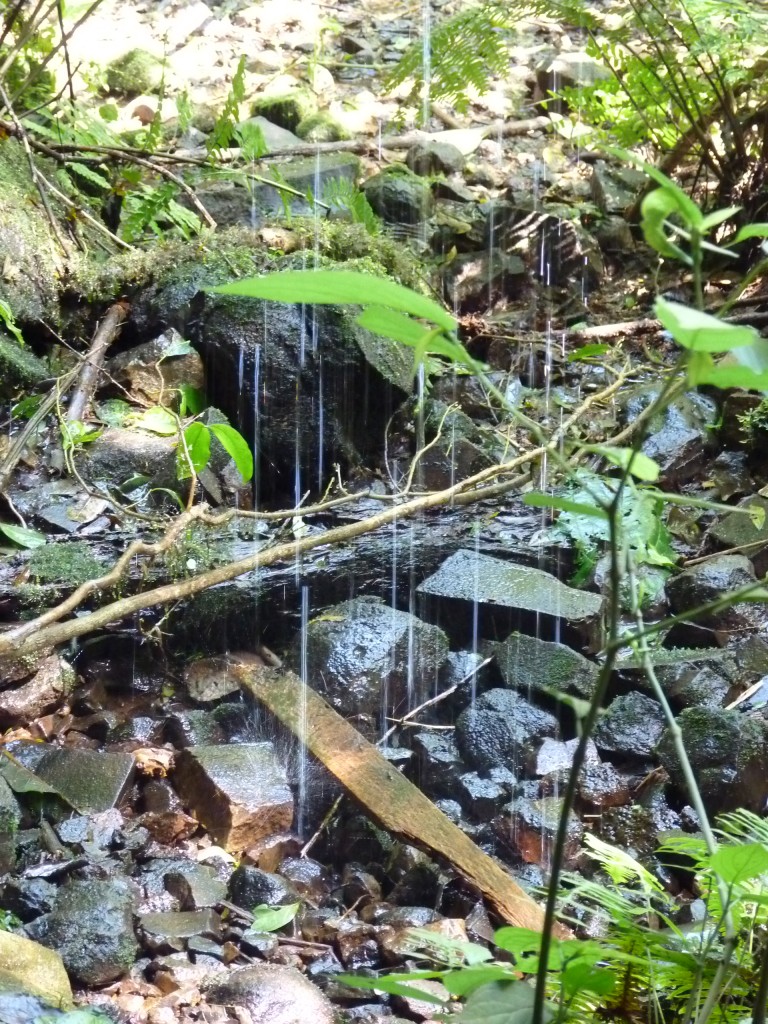 Foto: Parque Moconá - El Soberbio (Misiones), Argentina