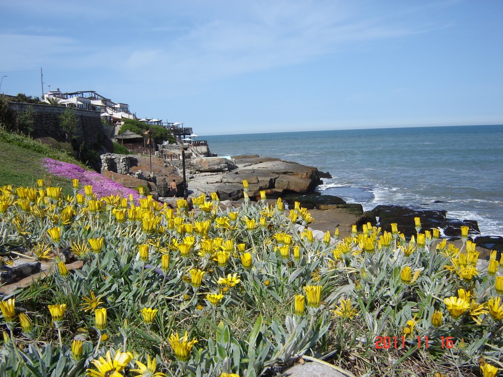 Foto: Playa chica - Mar del Plata (Buenos Aires), Argentina