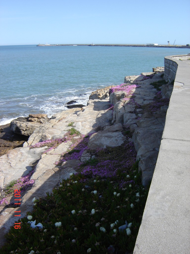 Foto: Playa chica - Mar del Plata (Buenos Aires), Argentina