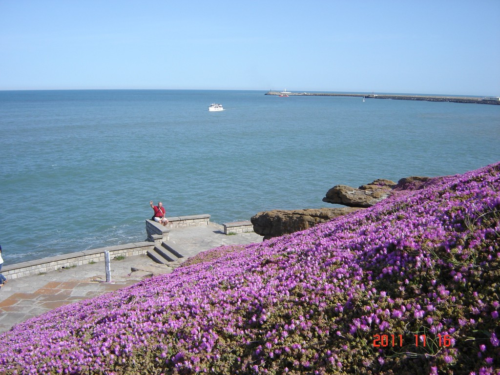 Foto: Playa chica - Mar del Plata (Buenos Aires), Argentina